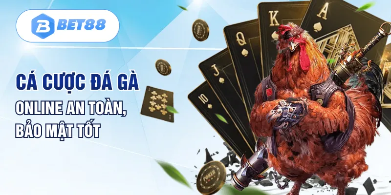 Cá cược đá gà online an toàn, bảo mật tốt Cá cược đá gà online an toàn, bảo mật tốt