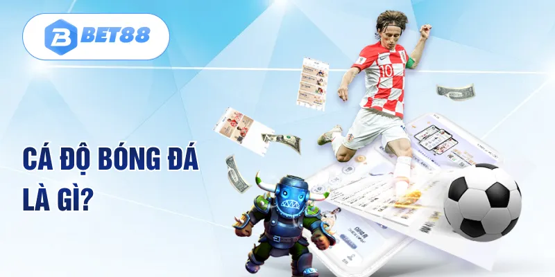 Cá độ bóng đá là gì? Cá độ bóng đá là gì?