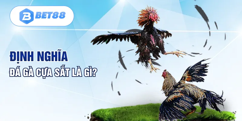 Định nghĩa đá gà cựa sắt là gì? Định nghĩa đá gà cựa sắt là gì?