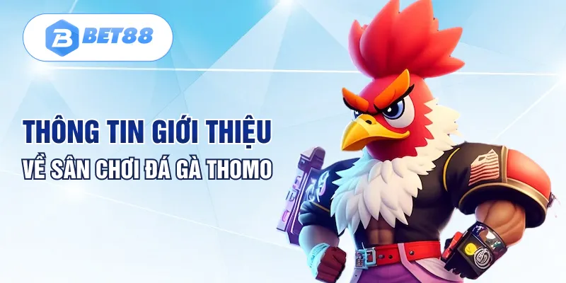 Thông tin giới thiệu về sân chơi đá gà Thomo Thông tin giới thiệu về sân chơi đá gà Thomo