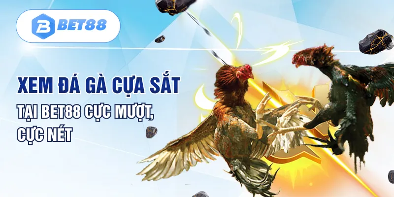 Xem đá gà cựa sắt tại Bet88 cực mượt, cực nét Xem đá gà cựa sắt tại Bet88 cực mượt, cực nét