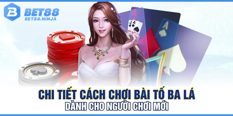 Chi tiết cách chơi bài tố ba lá dành cho người chơi mới Chi tiết cách chơi bài tố ba lá dành cho người chơi mới