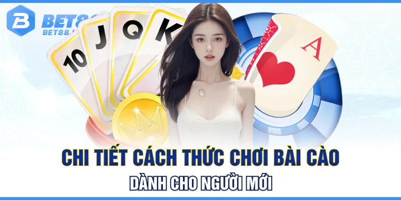 Chi tiết cách thức chơi bài cào dành cho người mới Chi tiết cách thức chơi bài cào dành cho người mới