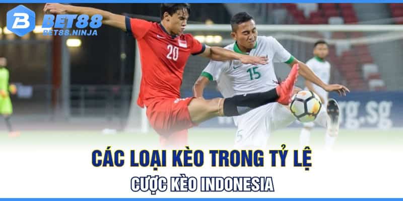 Các loại kèo trong tỷ lệ cược kèo Indonesia Các loại kèo trong tỷ lệ cược kèo Indonesia