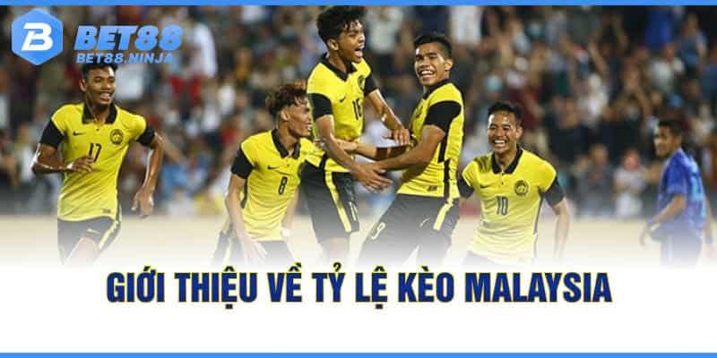 Giới thiệu về tỷ lệ kèo Malaysia Giới thiệu về tỷ lệ kèo Malaysia