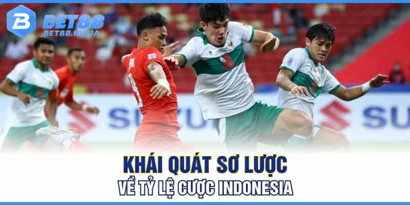 Khái quát sơ lược về tỷ lệ cược Indonesia Khái quát sơ lược về tỷ lệ cược Indonesia