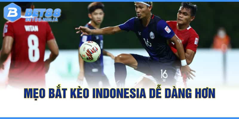 Mẹo bắt kèo Indonesia dễ dàng hơn Mẹo bắt kèo Indonesia dễ dàng hơn
