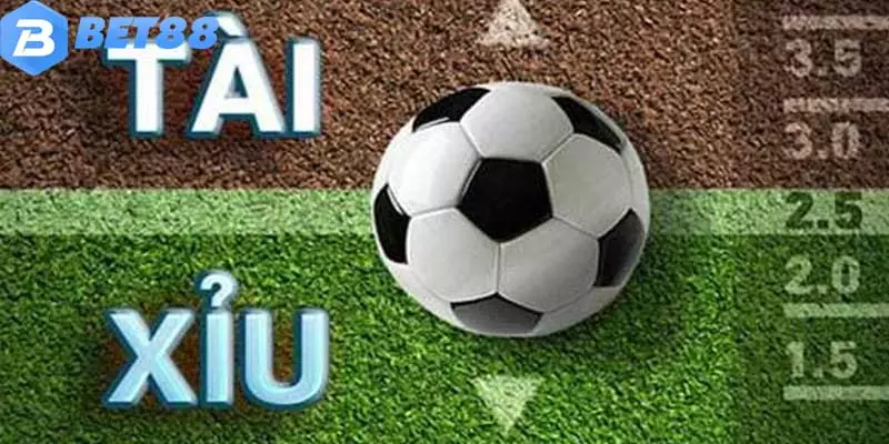 Cược tài xỉu là kênh đầu tư phù hợp với bet thủ